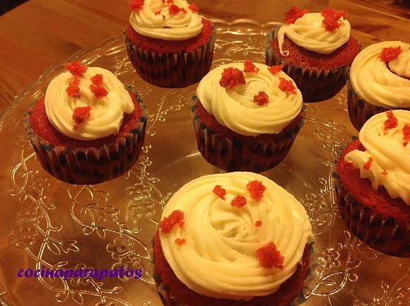 Cupcakes de vervet rojo