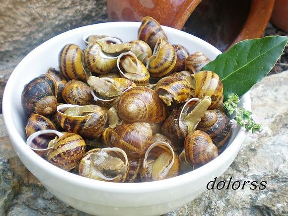 Cómo preparar y cocer caracoles
