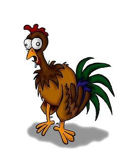 Pollo y más pollo