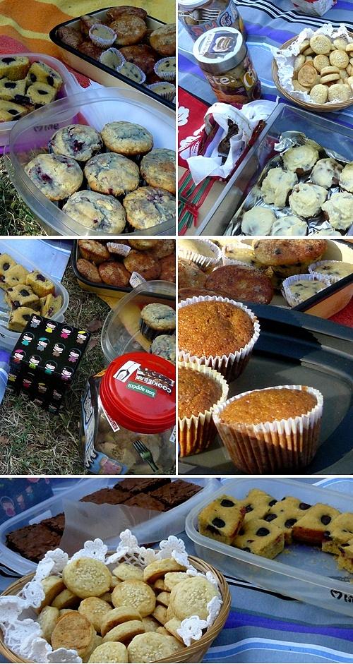 Picnic gastrobloggers y scones de queso