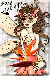 Popurri de galletas