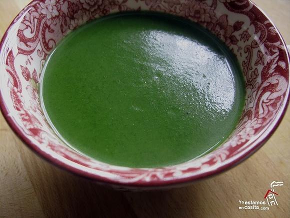 Crema de espinacas y puerro