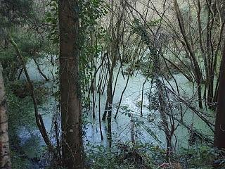 Lagunas de Salave