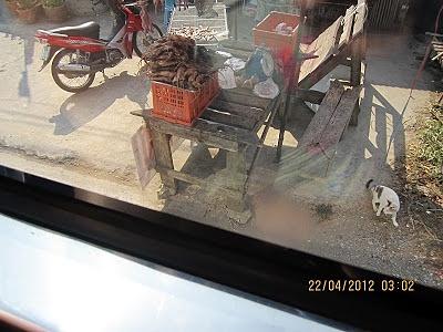 En Tailandia también se podía comer ratas