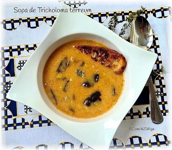 Sopa de Tricholoma terreum