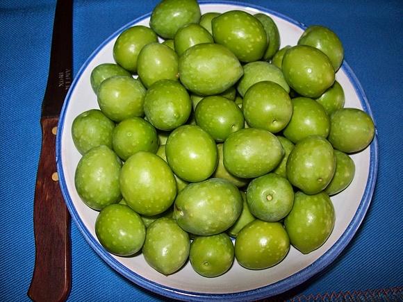 Olivas verdes rajadas