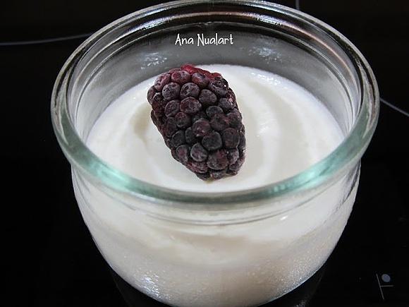 Panna cotta con melón
