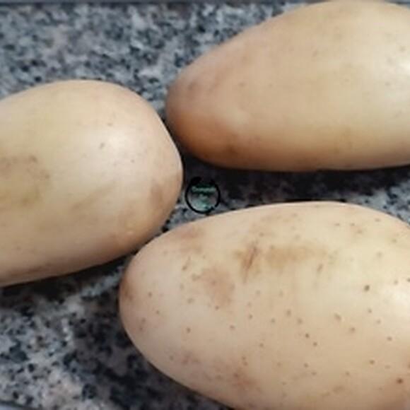 Cómo hacer papas de feria en freidora de aire