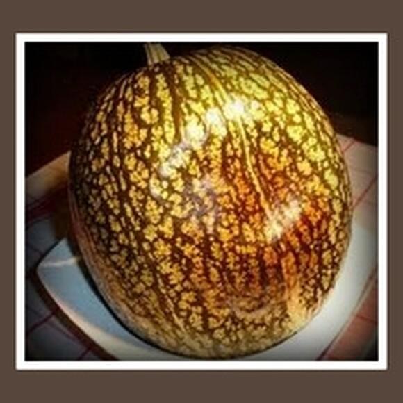 Sirkay de Lacayote